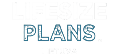 Lifesize Plans Lietuva Logo